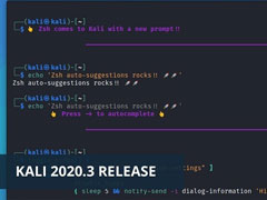 Kali°ʽKali Linux 2020.3