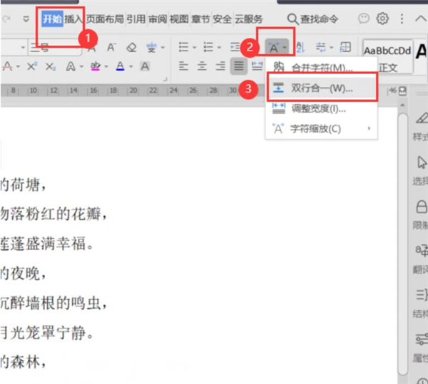 word文档中怎么设置双行合一