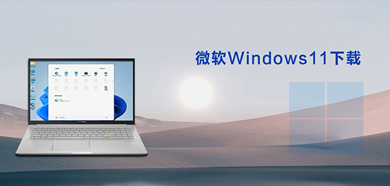 Win11صַ_Win11_΢