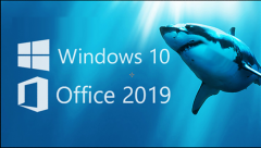 Windows11 Office2019ȼԿ Windows11 Office2019Կȫ