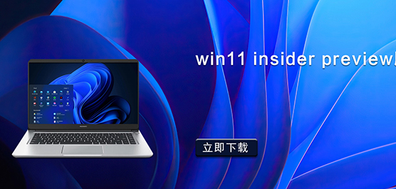 Win11 insider preview°_Win1