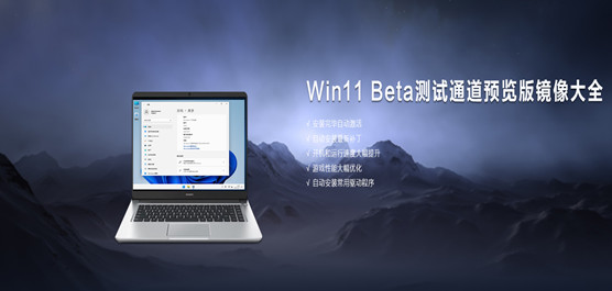 Win11 Beta԰ϼ Win11 B