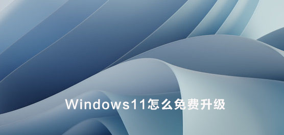 Windows11ô