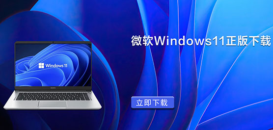 微软Windows11正版下载_官方正版Win11系统下载大全