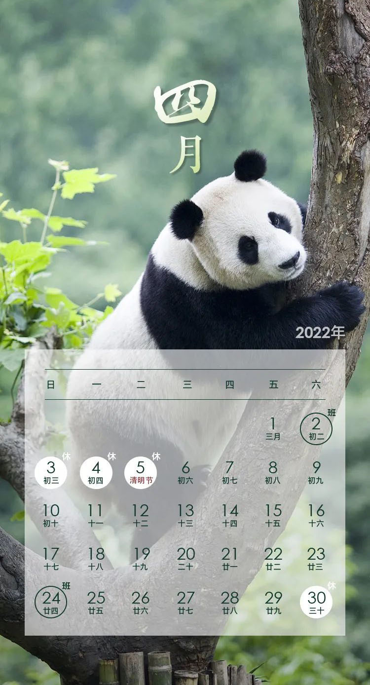2022年节假日安排出炉附2022年日历表excel版下载