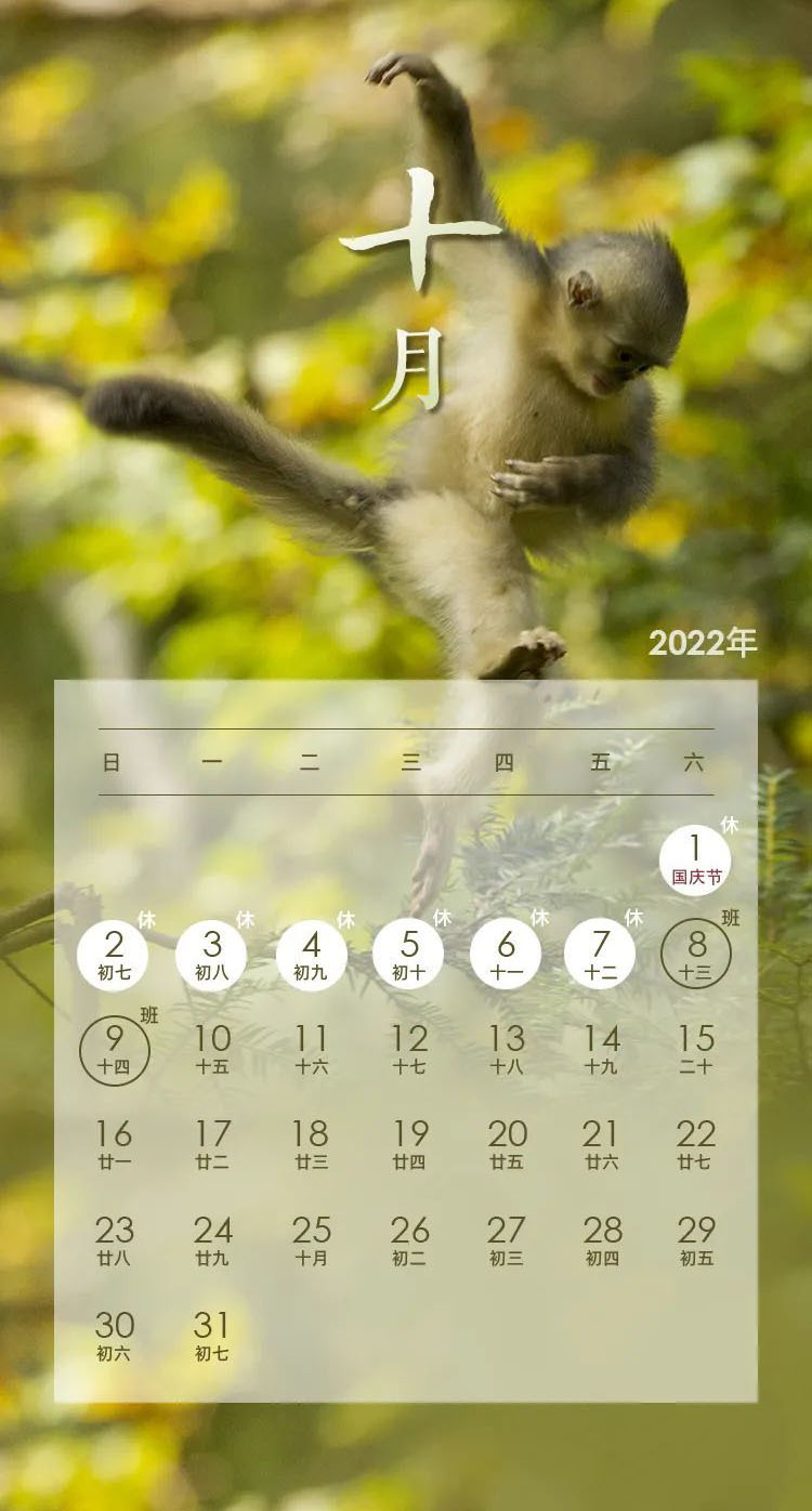 2022年节假日安排出炉!(附2022年日历表excel版下载)