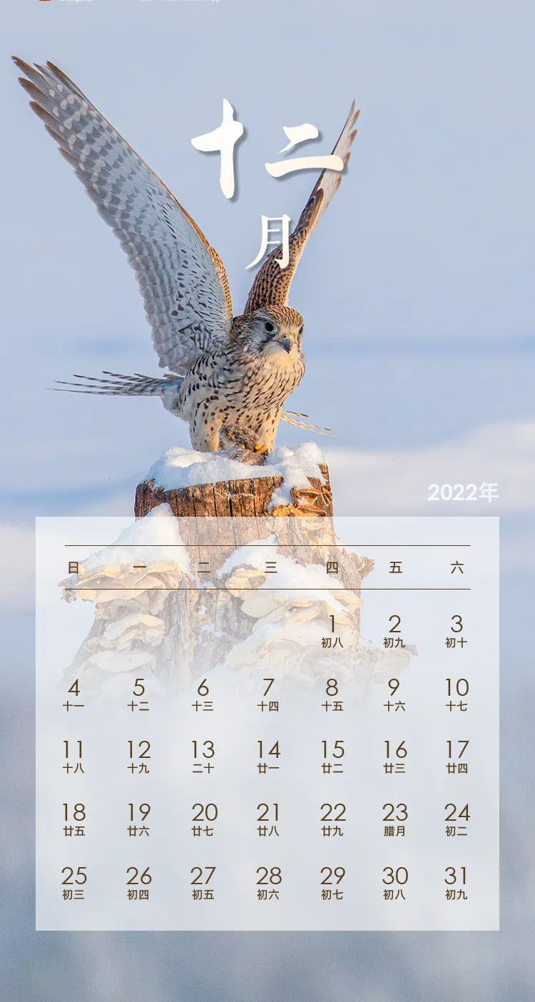 2022年节假日安排出炉附2022年日历表excel版下载