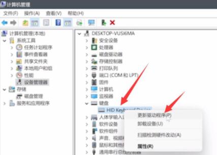 电脑升级Win11键盘不能用怎么办