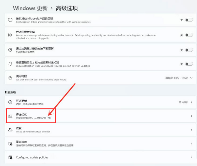 Win11如何开启传递优化功能？