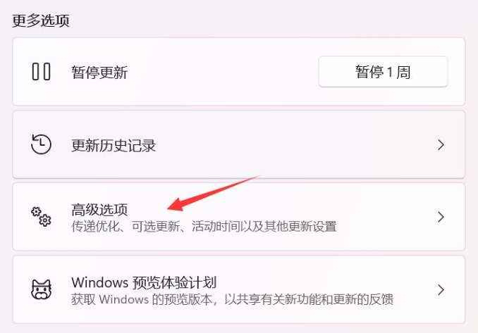 Win11更新太慢怎么办