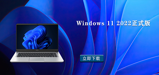 Windows 11 2022ʽ