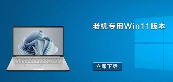 Win11ĸ汾 ϻר