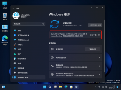 Windows11 version 22H2 Insider Preview (10.0.22598.100) (KB5014100)
