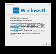 Win11 Insider Preview Build 25182.1000Ԥʲô(ԭiso)