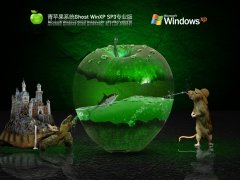 青苹果系统 Ghost WinXP Sp3 专业稳定版 V2022.01