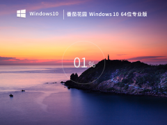 ѻ԰ Windows 10 64λ רҵ V2023.02