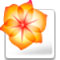 Adobe Illustrator CS2 V12.0