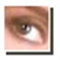 See9 MiniACDSee(㿴ͼ) V2.6.14095 İװ