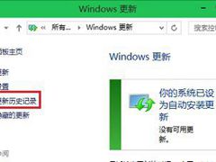 Win10ж���Ѱ�װ���²����Ĳ�������