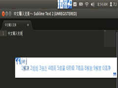 Ubuntu Sublime Text 2лfcitx뷨