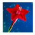 ѯѧ V1.1.0.0