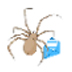Email V3.0.1