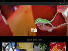 Win10 Mobile��΢����Ƭ������� �޸�BUG����������