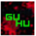 QQд˳ù V1.0 ɫ