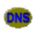DNSDataView(DNS¼ѯ) V1.60 ɫİ