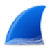 Wiresharkץ V4.4.1 İ64λ