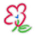 SmoothDraw(ͼȻ滭) V4.0.4 ɫ