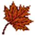 Ҷ¼ V1.0.0.0 ɫ