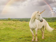 Ӣ����Ϊ��������֮����