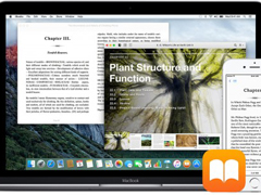 �����鰸�ⷨԺ���� ƻ���⳥�û�4����Ԫ