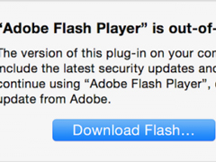 Safari��������й�ʱFlash Player�������������