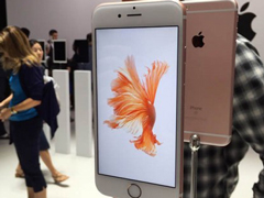 ƻ���ں�����ָѹե��Ӫ��