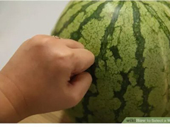 �����������ã��������������