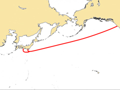 �ȸ�����������캣�׹��� �ٶ�����1000��