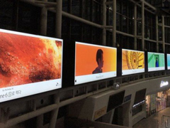 ��Shot on iPhone���������iPhone��Ƭ������ͷ