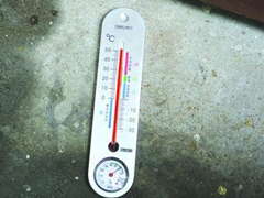 �Ϻ�һ���̵������ֿɼ弦����50���¶ȼ�4���ӱ���