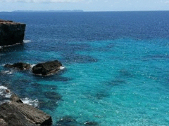 ��Լ����ˮ���֡�����ϸ���� �����ʸߴ�50%