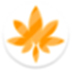 Ҷ4޸ V6.0 ɫ