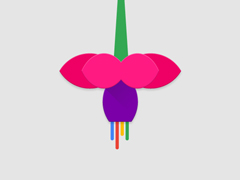 ȸ轫Ƴ²ϵͳFuchsiaMagentaΪں