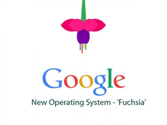 ȸΪڰ׿ϵͳ׳¿Fuchsia