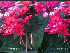 iPhone7 Plusô