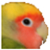 PhotoWipe(ƳƬвҪĲ) V1.21 Ӣİ