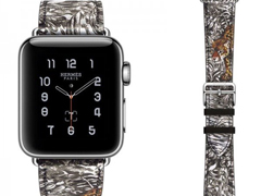 ˽ȫApple WatchԼ3000Ԫ