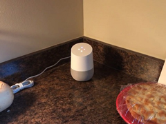 չʾGoogle Homeȼ¯ 