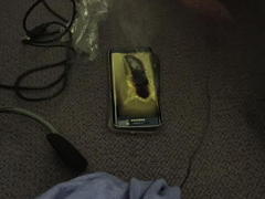 Galaxy S6ð̣ԱűͰ