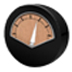 PitchPerfect() V2.12 Ӣİװ